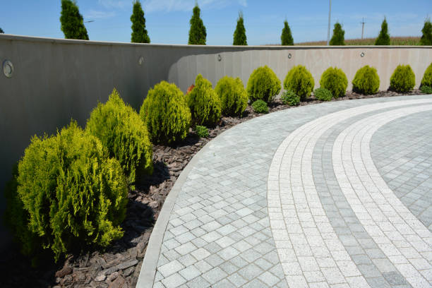 Best Professional Driveway Pavers  in West Jefferson, NC